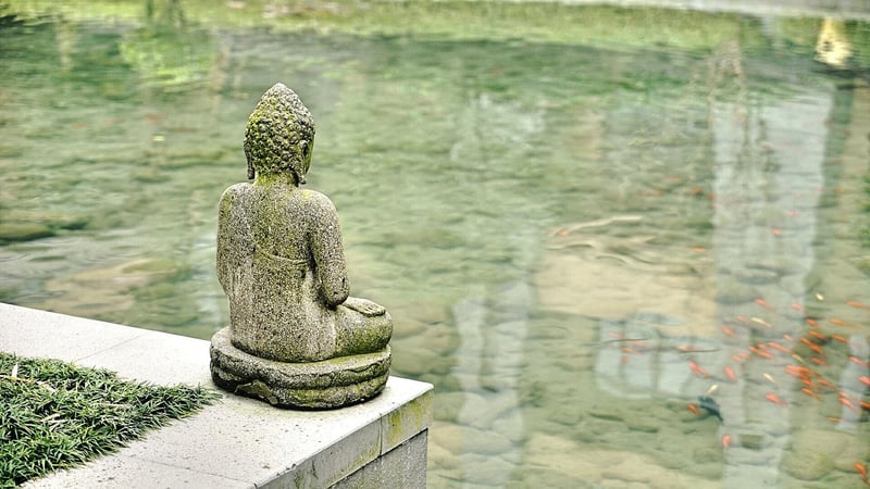 Meditation Retreat