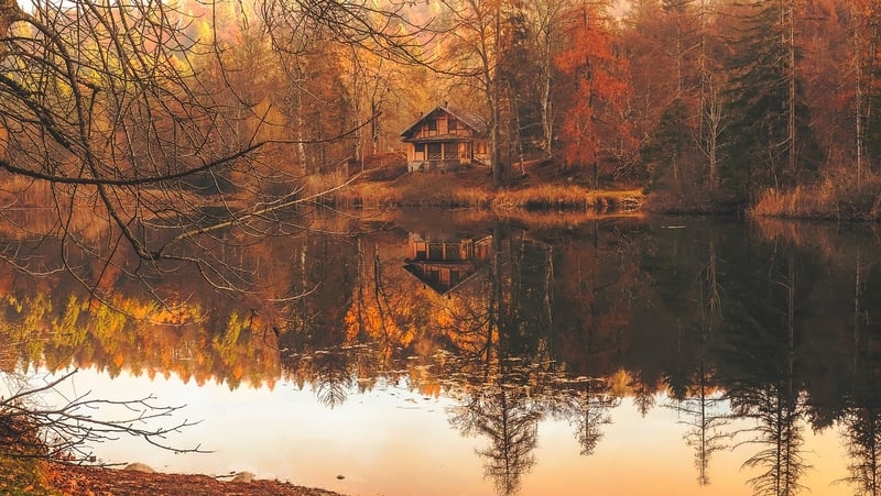 Off-Grid Cabin in the Woods